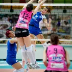 Volleyball-Netz Futura FIPAV - cod.PA0206