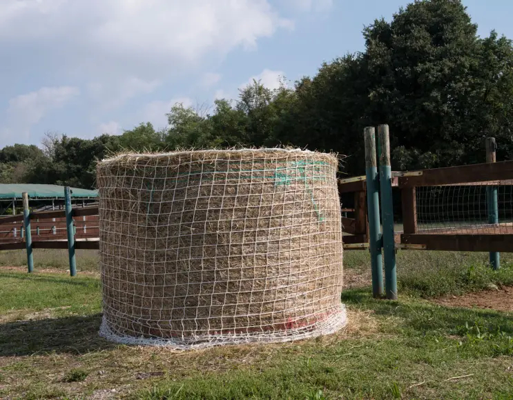 Netz für Strohballenabdeckung klein Maschengröße 100 mm  Ø 140x150