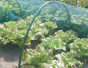 Netze und Platten zur Landwirtschaft und Gartenar