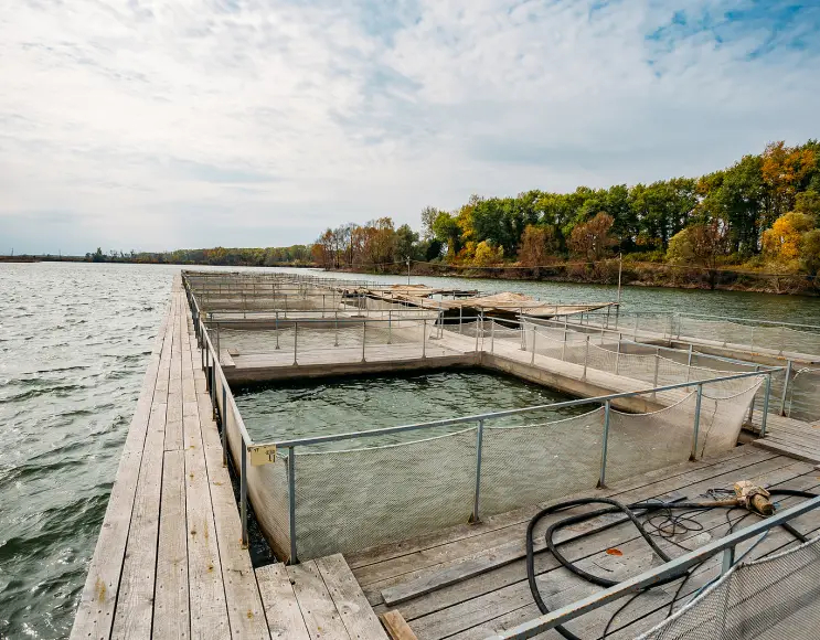Quadratische Käfige für Aquakultur und Fischzucht