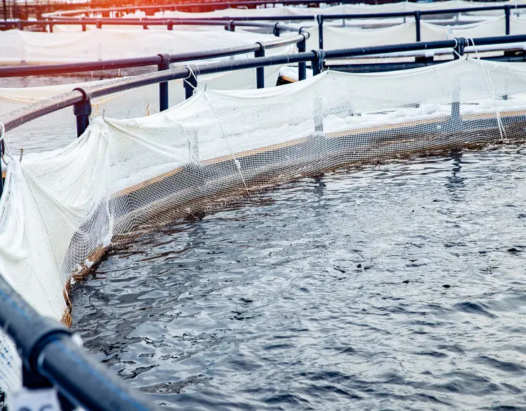 Rundkäfige für Aquakultur und Fischzucht